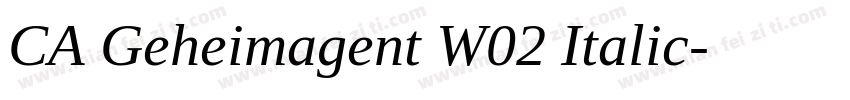 CA Geheimagent W02 Italic字体转换